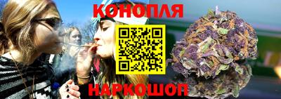 spice Кингисепп