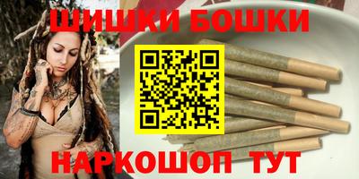spice Кингисепп