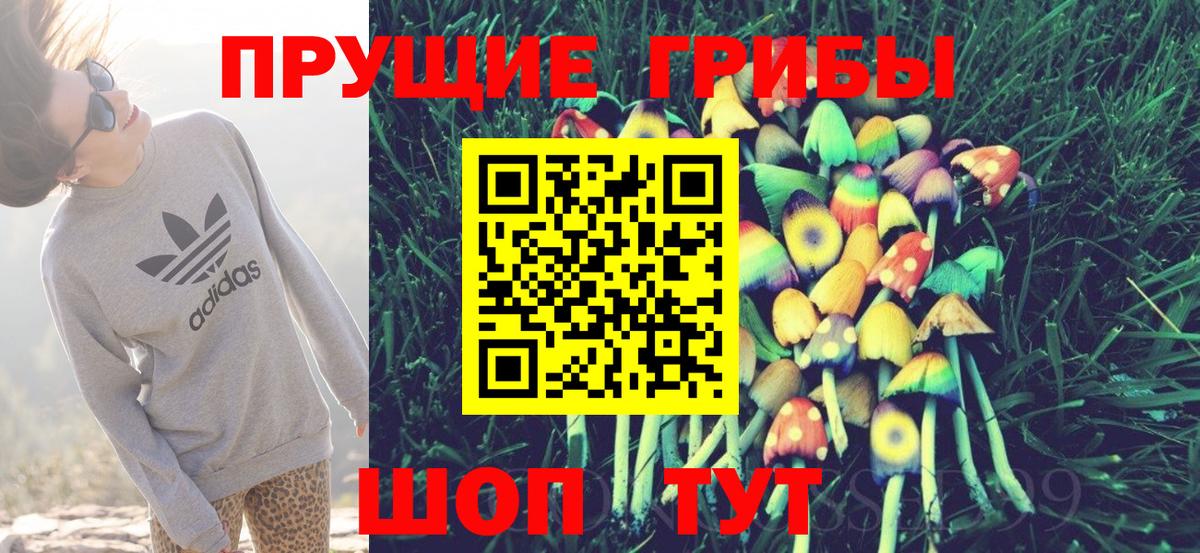 Хасавюрт  Псилоцибиновые грибы ЛСД  Псилоцибиновые грибы ЛСД  Вход с VPN 