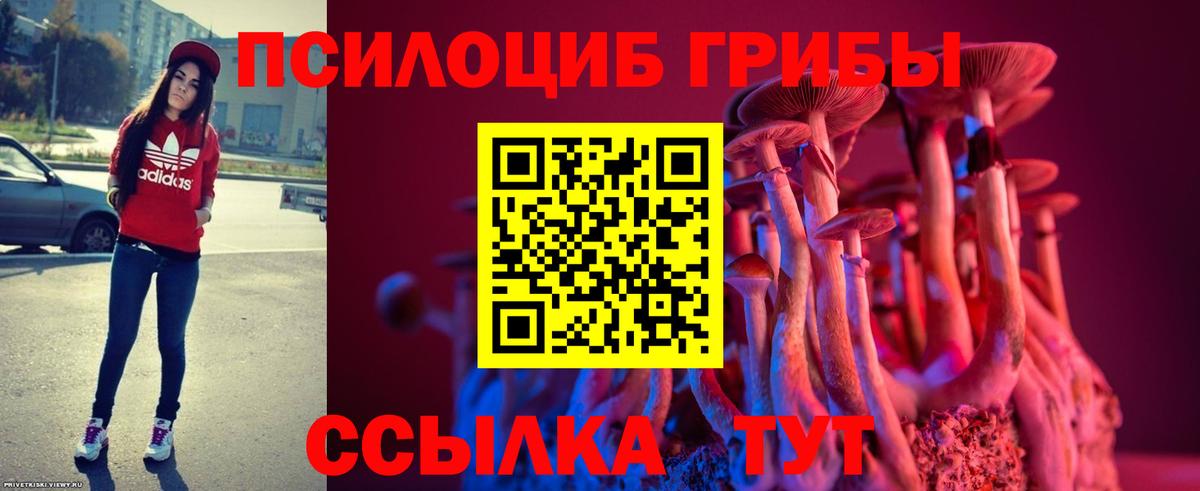 Галлюциногенные грибы мухоморы Хасавюрт